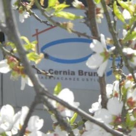 Case Vacanze La Cernia Bruna