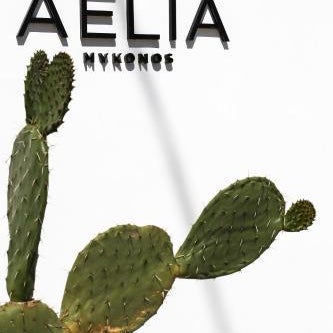 Aelia Mykonos