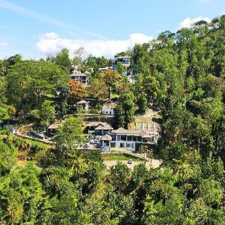 Forest Canopy Resort