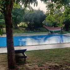 Yala Peace Cottages