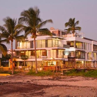 Golden Bay Galapagos Thumbnail