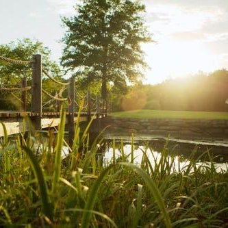 Cedar Creek Thumbnail
