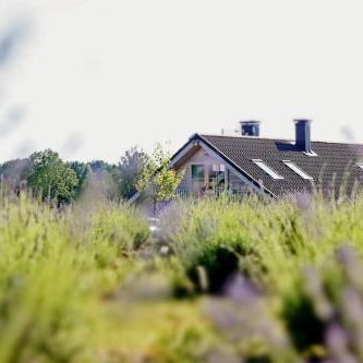 Lavender Village Thumbnail