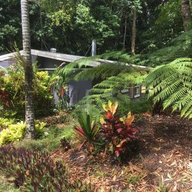 Honeybee House Cottage in the Rainforest