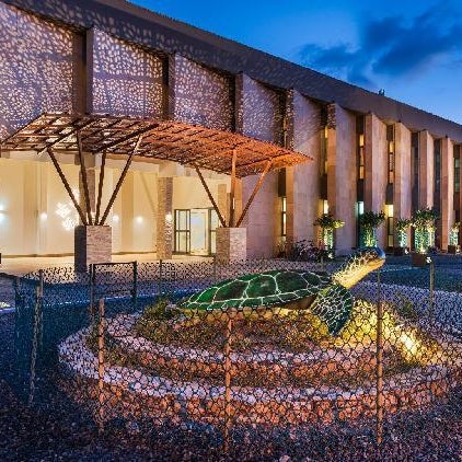 Ras Al Jinz Turtle Reserve Thumbnail