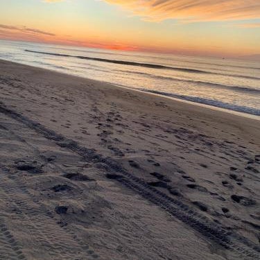 Ocean Vista Resort Thumbnail