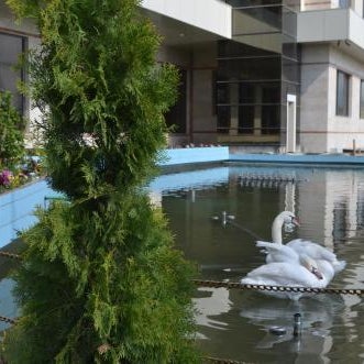 Hotel Dawa