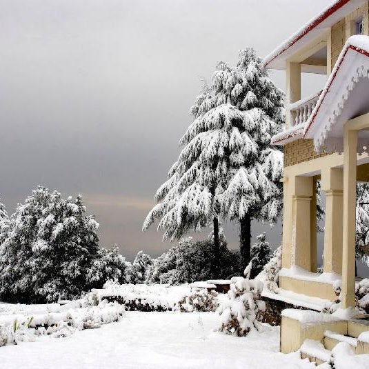 Tree of Life Grand Oak Manor, Binsar Wildlife Sanctuary