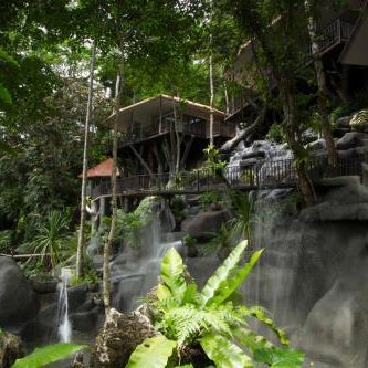 Rock and Tree House Resort