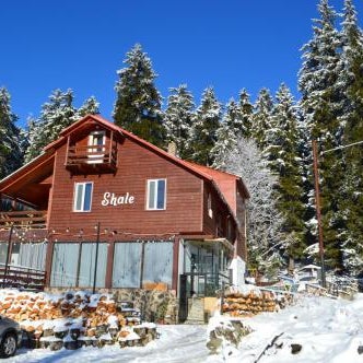 Boutique Hotel Shale Thumbnail