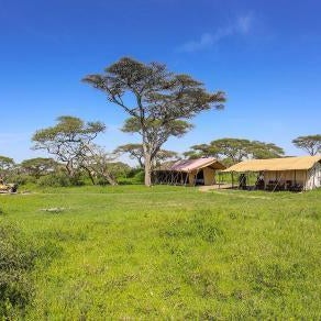 Serengeti Savannah Camps