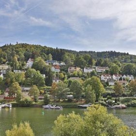 Hotel Neckarlux Thumbnail