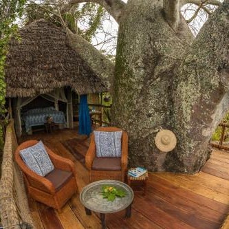 Chole Mjini Treehouses Lodge