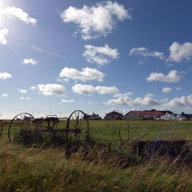 DalsSel farm Guesthouse