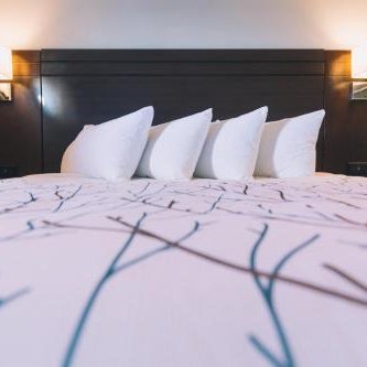 Service Plus Inns and Suites