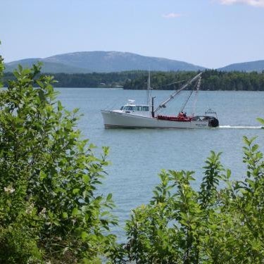 Narrows Too Camping Resort Cabin 6 Thumbnail