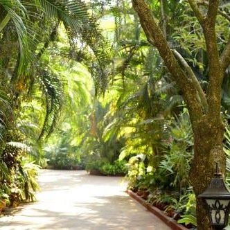 Palm Grove Cottages - Leisure Resort Thumbnail