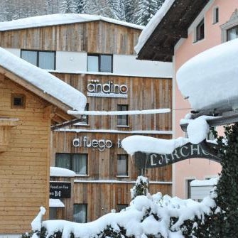 Hotel Andino