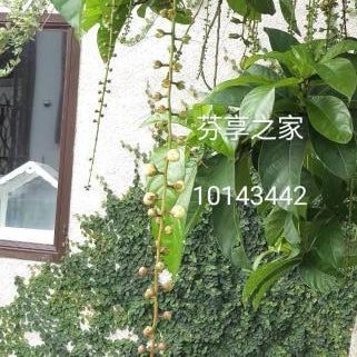 Green 58 B&B