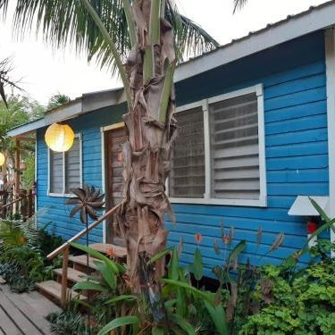 The Funky Dodo Backpackers Hostel Thumbnail