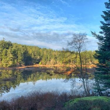 Otter's Pond Bed and Breakfast Thumbnail