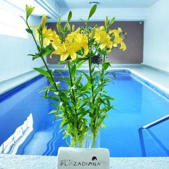 Hotel Plaza Diana Thumbnail