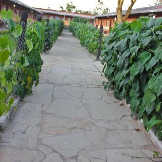 Sweet Lake Resort Thumbnail