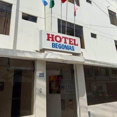 Hotel Begonias