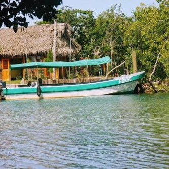 Palmento Grove Garifuna Eco-Cultural & Healing Institute Thumbnail
