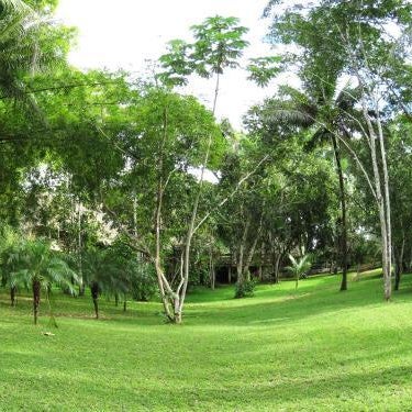 Crystal Paradise Resort Thumbnail