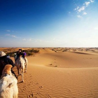 Golden Gobi Hostel & Tours Thumbnail