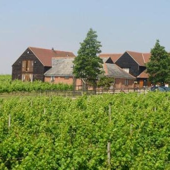 Mersea Island Vineyard