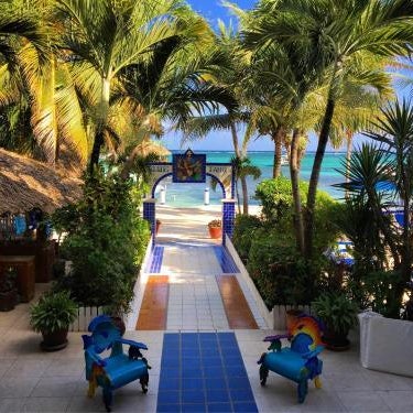 Blue Tang Inn - Beachfront Suites and Pool
