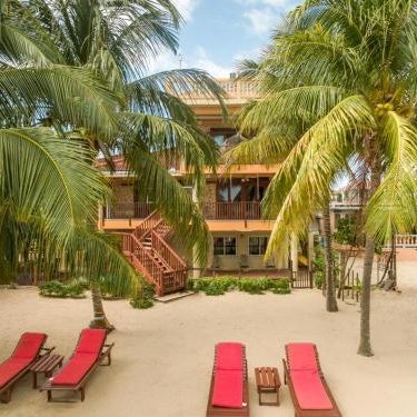 Buttonwood Belize Thumbnail