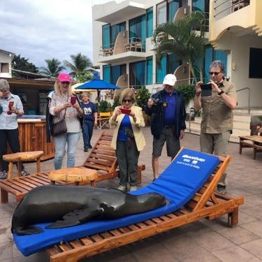 Hotel Solymar Thumbnail