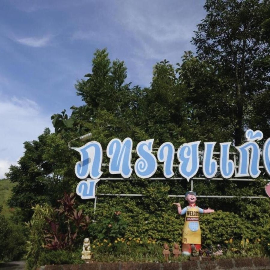 ภูทรายแก้วรีสอร์ทวังน้ำเขียว Thumbnail