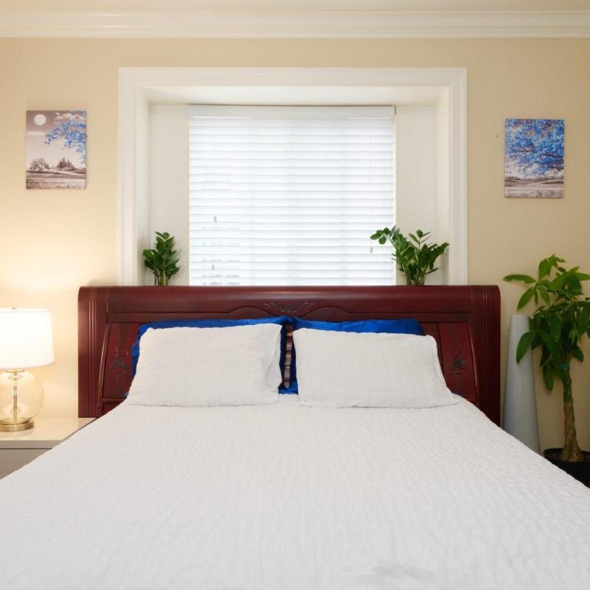 Modern Room with Private Washroom in Central Location Thumbnail