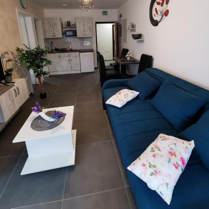 Apartman Goga 1