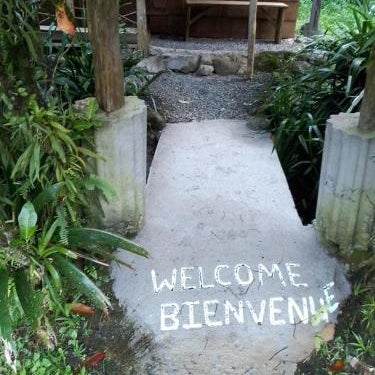 Natty Tropical Valley Thumbnail