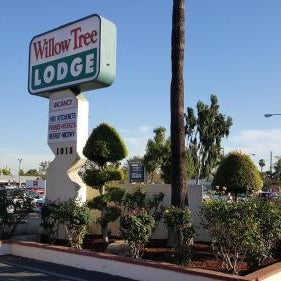 Willow Tree Lodge Thumbnail