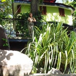 Zopango Orchids Island Thumbnail