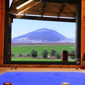 Noach Batavor Thumbnail