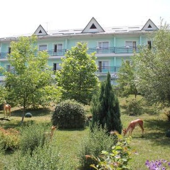 Green Hotel Thumbnail