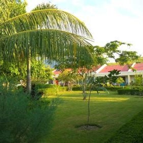 Palm Malinamoc Hotel