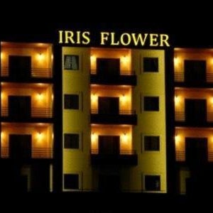 Iris Flower Hotel