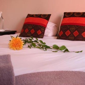 Dunedin Star Guesthouse Thumbnail