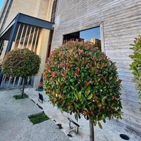 Hotel Ehden Thumbnail
