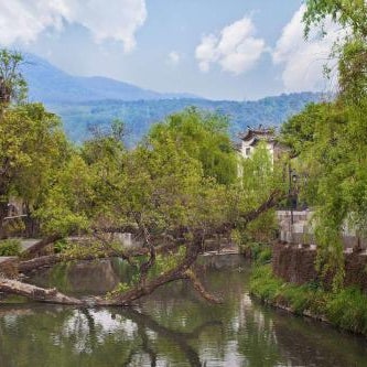 Banyan Tree Tengchong