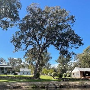 Diamondvale Estate Stanthorpe Thumbnail
