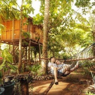 Sigiri aliya tree house Thumbnail